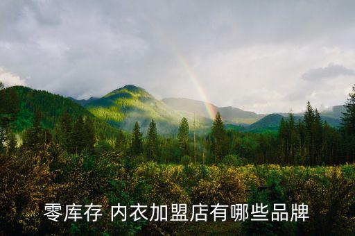 零库存 内衣加盟店有哪些品牌