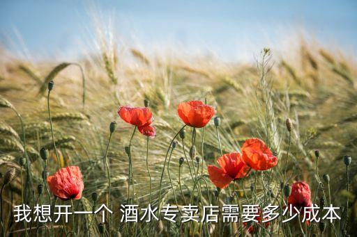 我想开一个 酒水专卖店需要多少成本