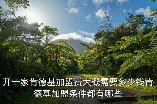 开一家肯德基加盟费大概需要多少钱肯德基加盟条件都有哪些
