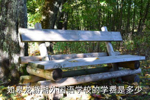 如皋龙游湖外国语学校的学费是多少