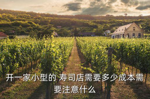 开一家小型的 寿司店需要多少成本需要注意什么