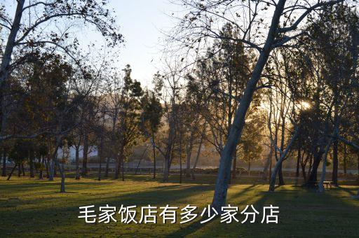 毛家饭店有多少家分店