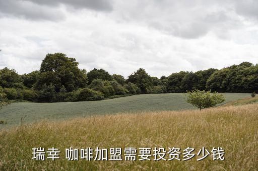江苏咖啡加盟费用多少,costa咖啡加盟费用明细