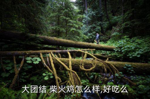 家园柴火鸡加盟费用,柴火鸡加盟哪个品牌好