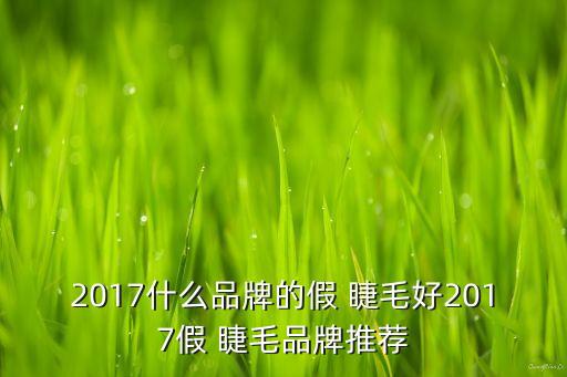 2017什么品牌的假 睫毛好2017假 睫毛品牌推荐