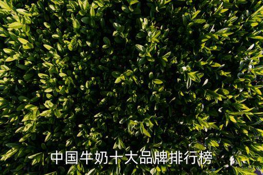 中国最大的乳业公司加盟费
