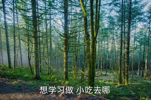 想学习做 小吃去哪
