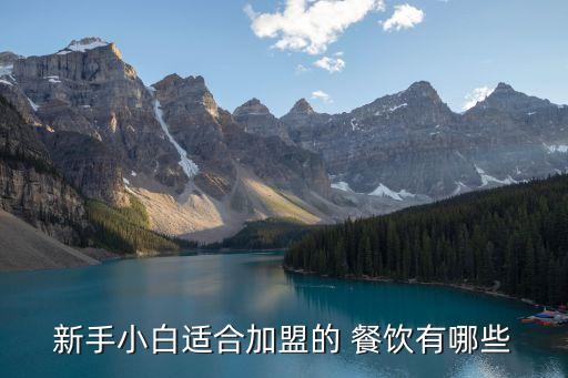 新手小白适合加盟的 餐饮有哪些