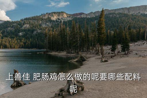 上善佳 肥肠鸡怎么做的呢要哪些配料呢