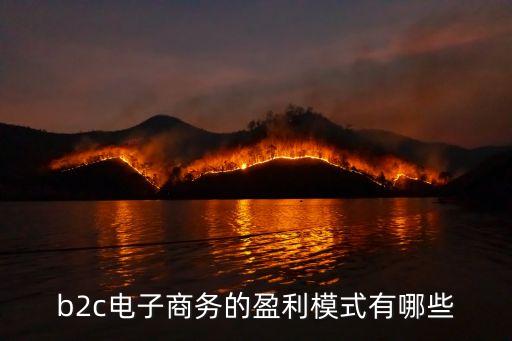 b2c电子商务的盈利模式有哪些