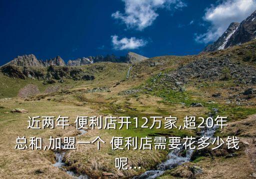 近两年 便利店开12万家,超20年总和,加盟一个 便利店需要花多少钱呢...