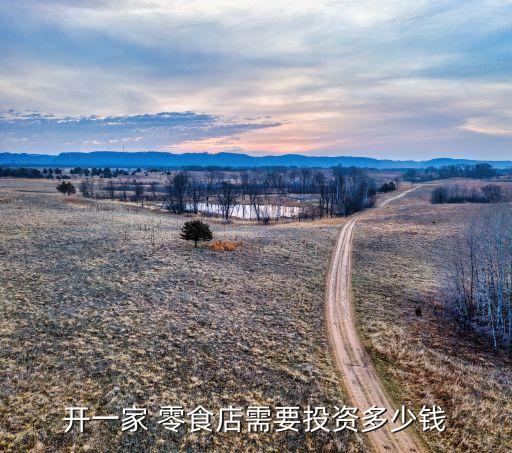 杭州休闲零食加盟费用多少,一扫光休闲零食加盟费用多少