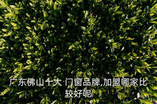 广东佛山十大 门窗品牌,加盟哪家比较好呢