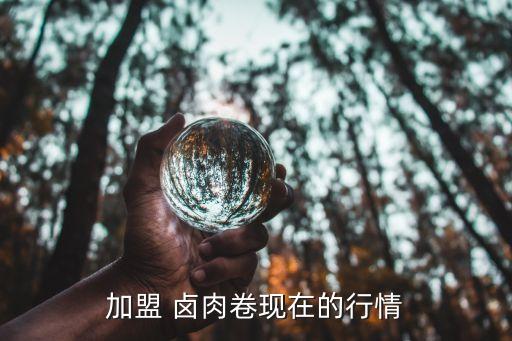 加盟 卤肉卷现在的行情