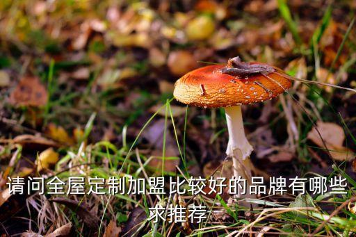 星耀家居加盟费用多少钱,cbd家居加盟详细费用