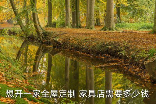 想开一家全屋定制 家具店需要多少钱