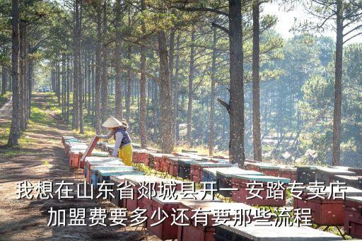 加盟安踏需要多少加盟费用