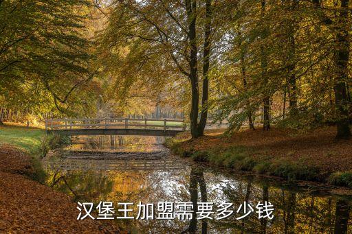 汉堡王加盟需要多少钱