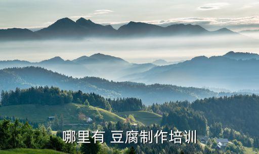 高唐老豆腐加盟费,高唐豆知府老豆腐加盟费多少