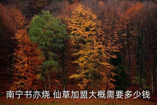 书赤烧仙草店加盟费用,书亦烧仙草加盟大概需要多少钱