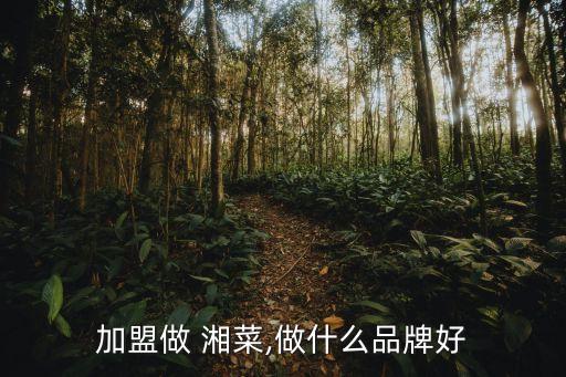 加盟做 湘菜,做什么品牌好