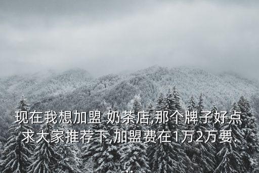 现在我想加盟 奶茶店,那个牌子好点求大家推荐下,加盟费在1万2万要...
