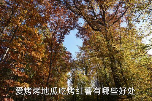 爱烤烤地瓜吃烤红薯有哪些好处