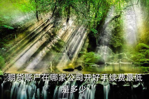  期货账户在哪家公司开好手续费最低是多少