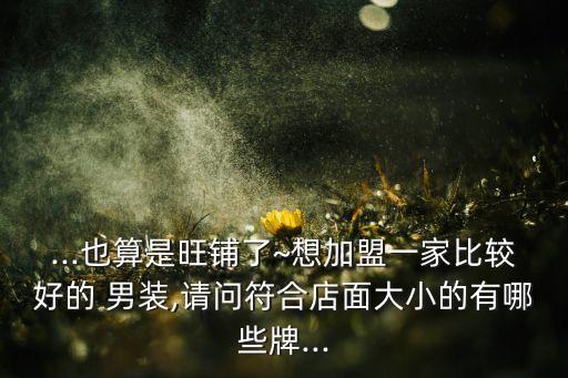 ...也算是旺铺了~想加盟一家比较好的 男装,请问符合店面大小的有哪些牌...