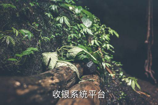 收钱吧加盟费用多少,找人收钱要给多少费用