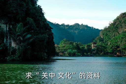 求“ 关中 文化”的资料