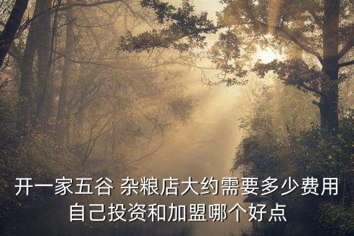 开一家五谷 杂粮店大约需要多少费用自己投资和加盟哪个好点