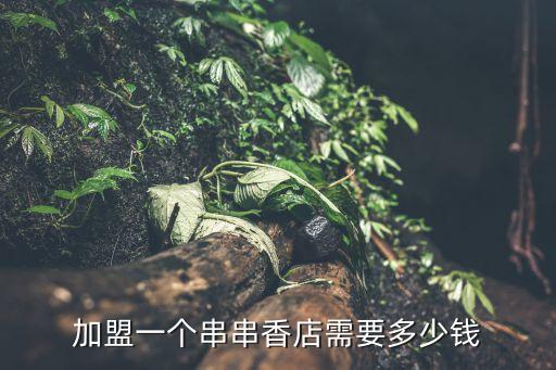 牛华串串加盟费,乐山牛华麻辣烫加盟费多少