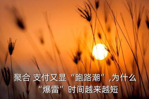  聚合 支付又显“跑路潮”,为什么“爆雷”时间越来越短