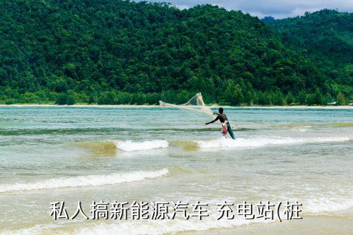 私人搞新能源汽车 充电站(桩