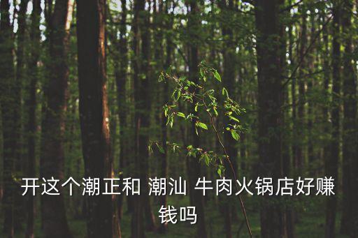 开这个潮正和 潮汕 牛肉火锅店好赚钱吗