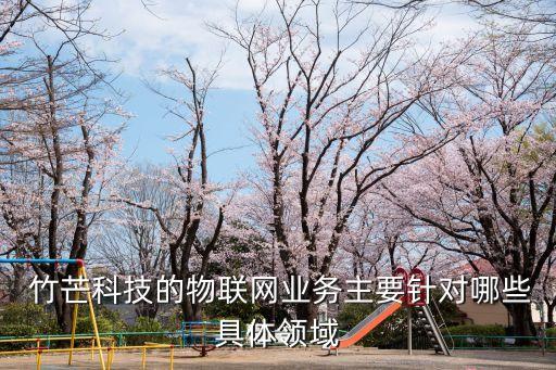  竹芒科技的物联网业务主要针对哪些具体领域