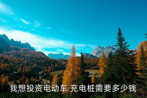 我想投资电动车 充电桩需要多少钱