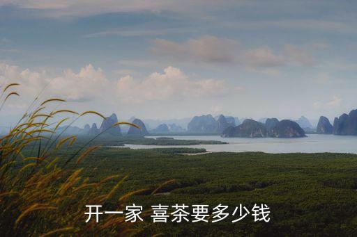 开一家 喜茶要多少钱