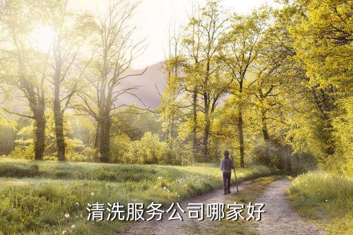 清洗服务公司哪家好