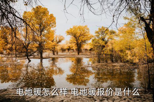  电地暖怎么样 电地暖报价是什么