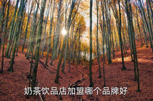 奶茶饮品店加盟哪个品牌好