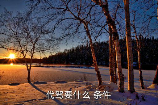 代驾要什么 条件