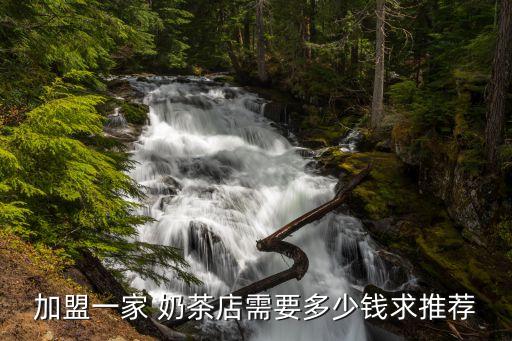 答案奶茶加盟费是什么,奶茶加盟费是什么意思
