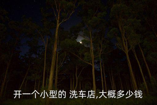 开一个小型的 洗车店,大概多少钱