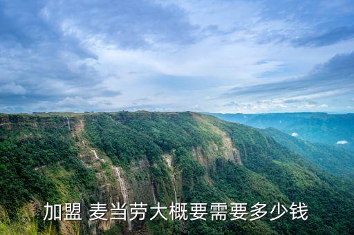 加盟 麦当劳大概要需要多少钱