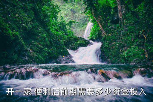 开一家 便利店前期需要多少资金投入