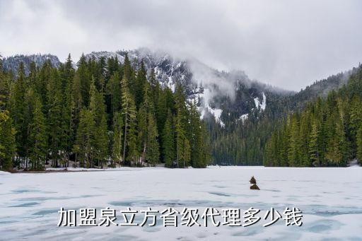 加盟泉立方省级代理多少钱
