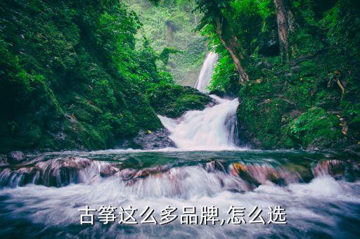 高级古筝代理加盟费用多少
