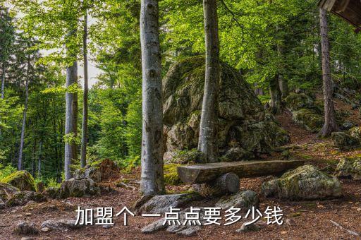 加盟个 一点点要多少钱